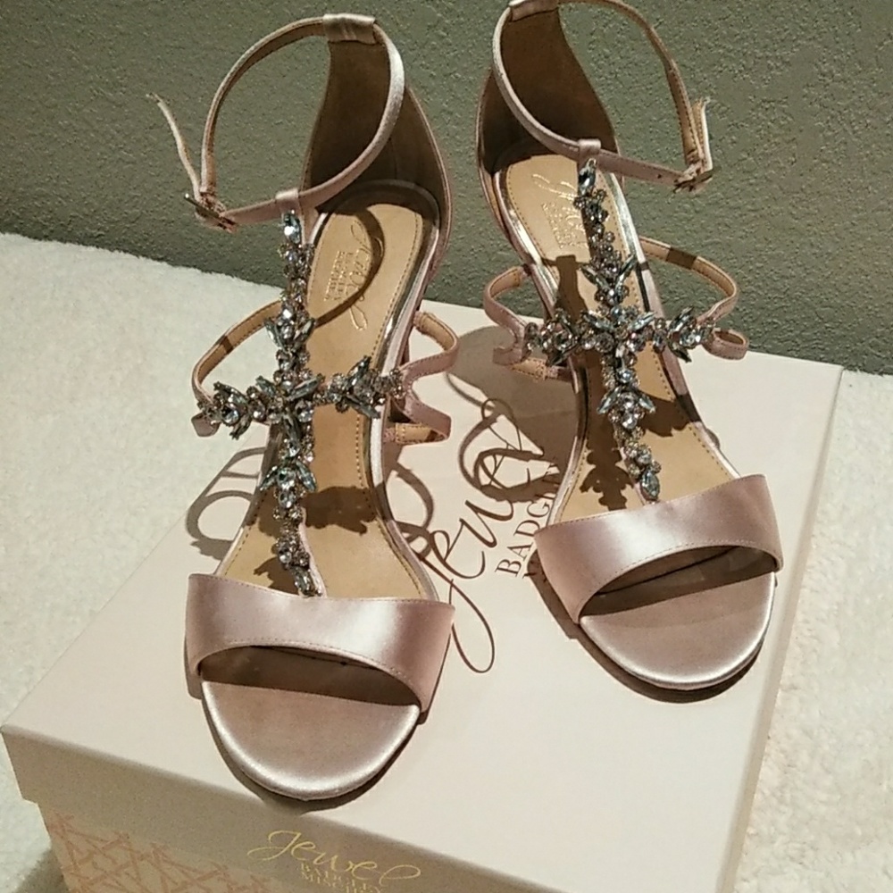 Blush Badgley Mischka sandals ❤️